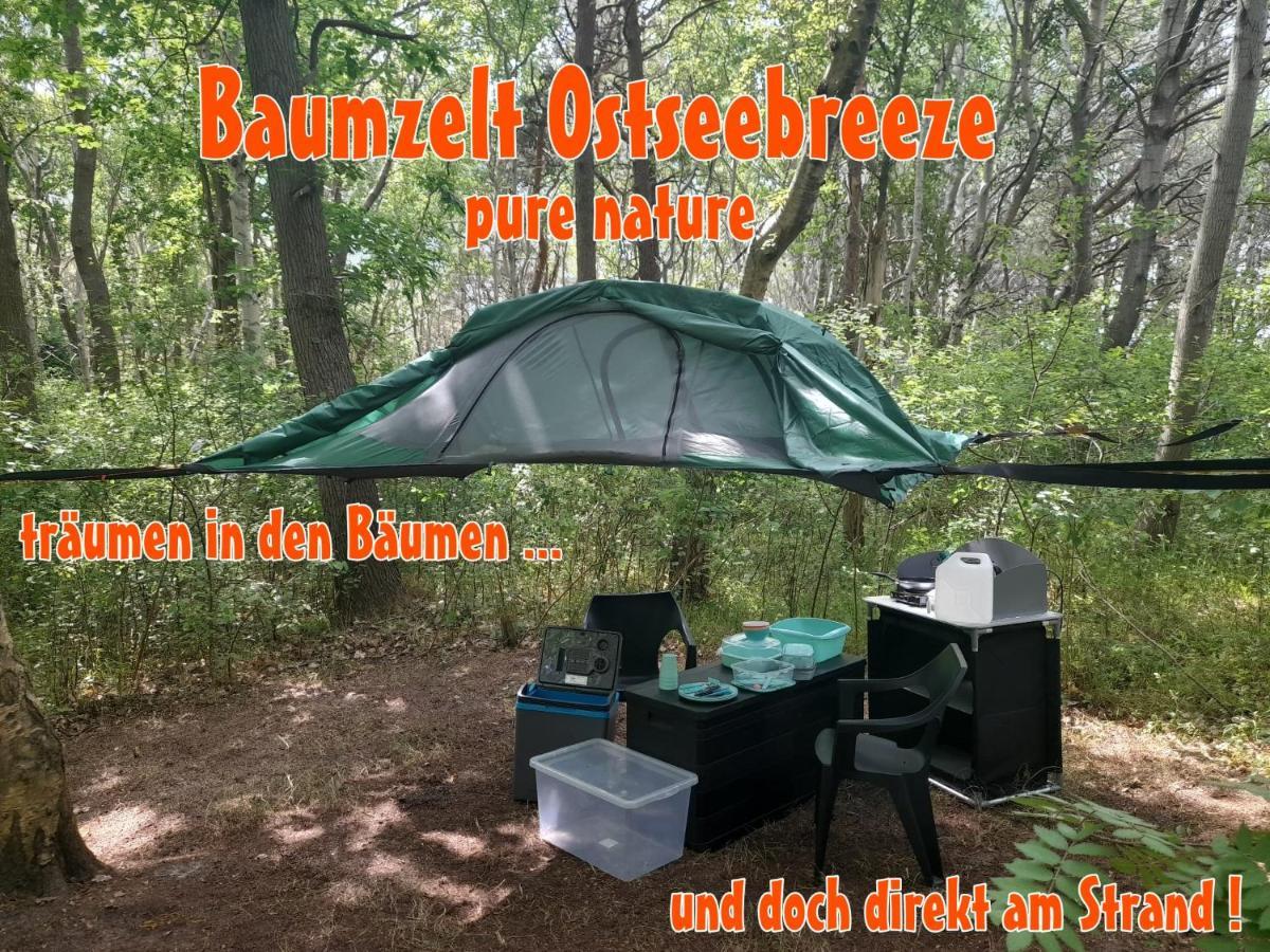 Baumzeltdorf Ostseebreeze Direkt Am Strand Dranske Exterior photo